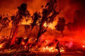 Wildfires burning trees, roads, and buildings;