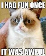 Grumpy Cat First Meme;