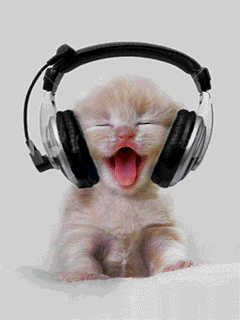 Kitten with headphones on his head;