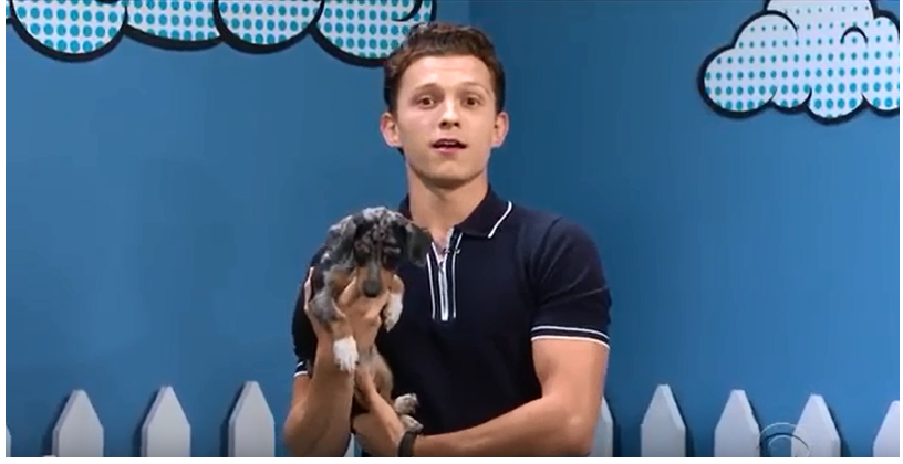 Rescue Dog Rescue guest Tom Holland and Peter Barker on The Late Show with Stephen Colbert;