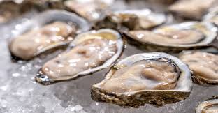 Baynes Sound Raw Oysters Norovirus;