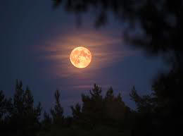 Strawberry Moon ;